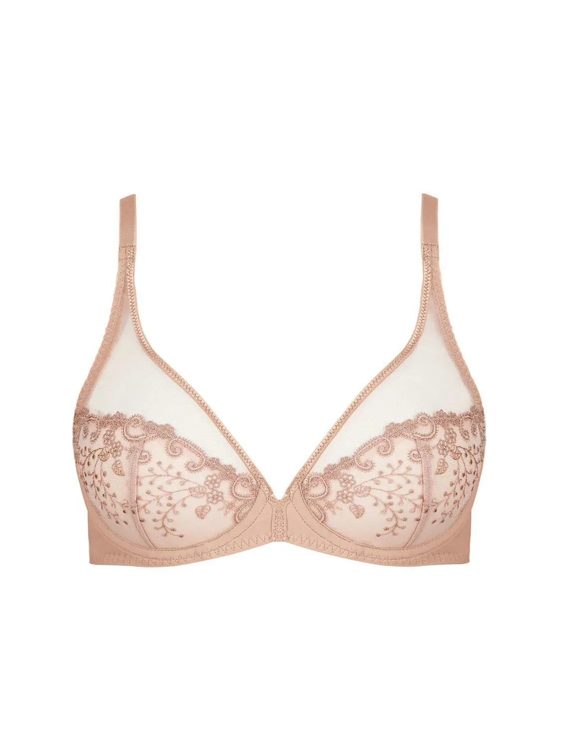 Delice Sheer Plunge Bra