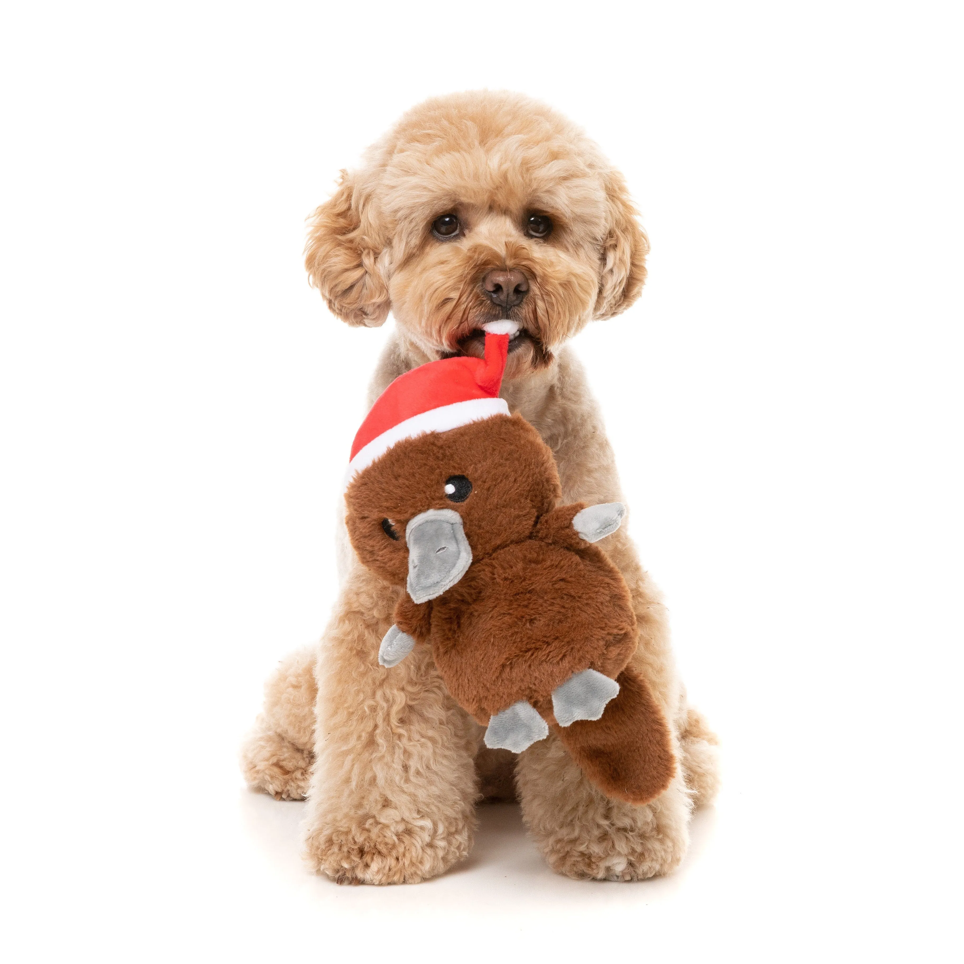 FuzzYard Christmas A-Wreatha the Platypus Soft Dog Toy***