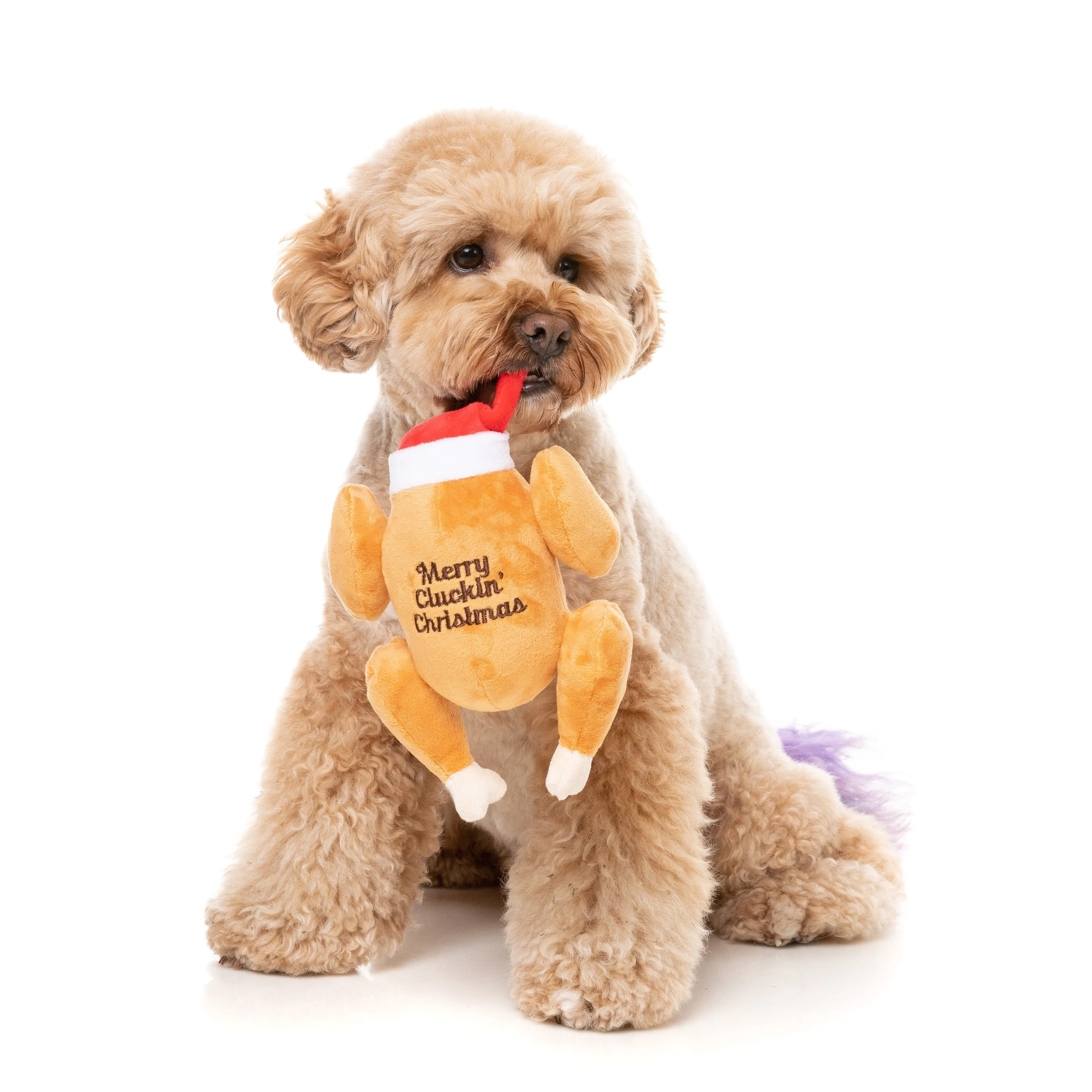 FuzzYard Christmas Merry Cluckin Christmas Soft Dog Toy Large