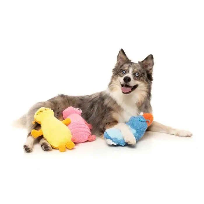 FuzzYard Dog Toy Rolly the Blue Bed Bug^^^