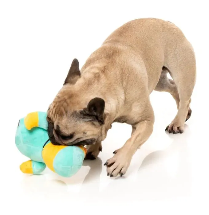 FuzzYard Ducktor - Dog Toy