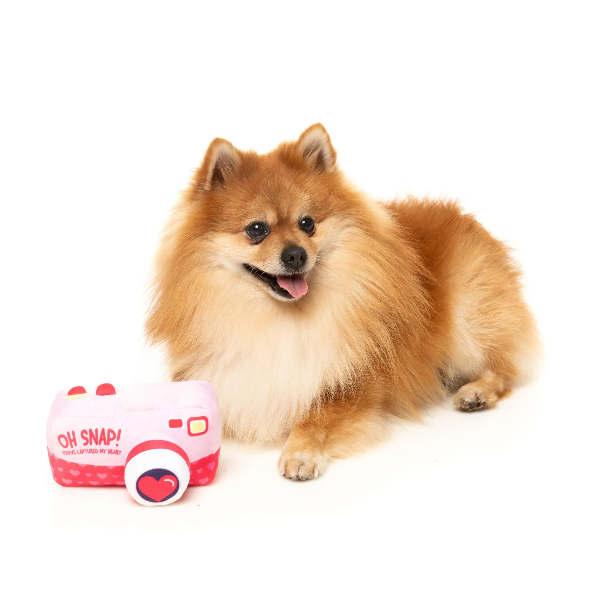 FuzzYard Oh Snap Camera Dog Toy