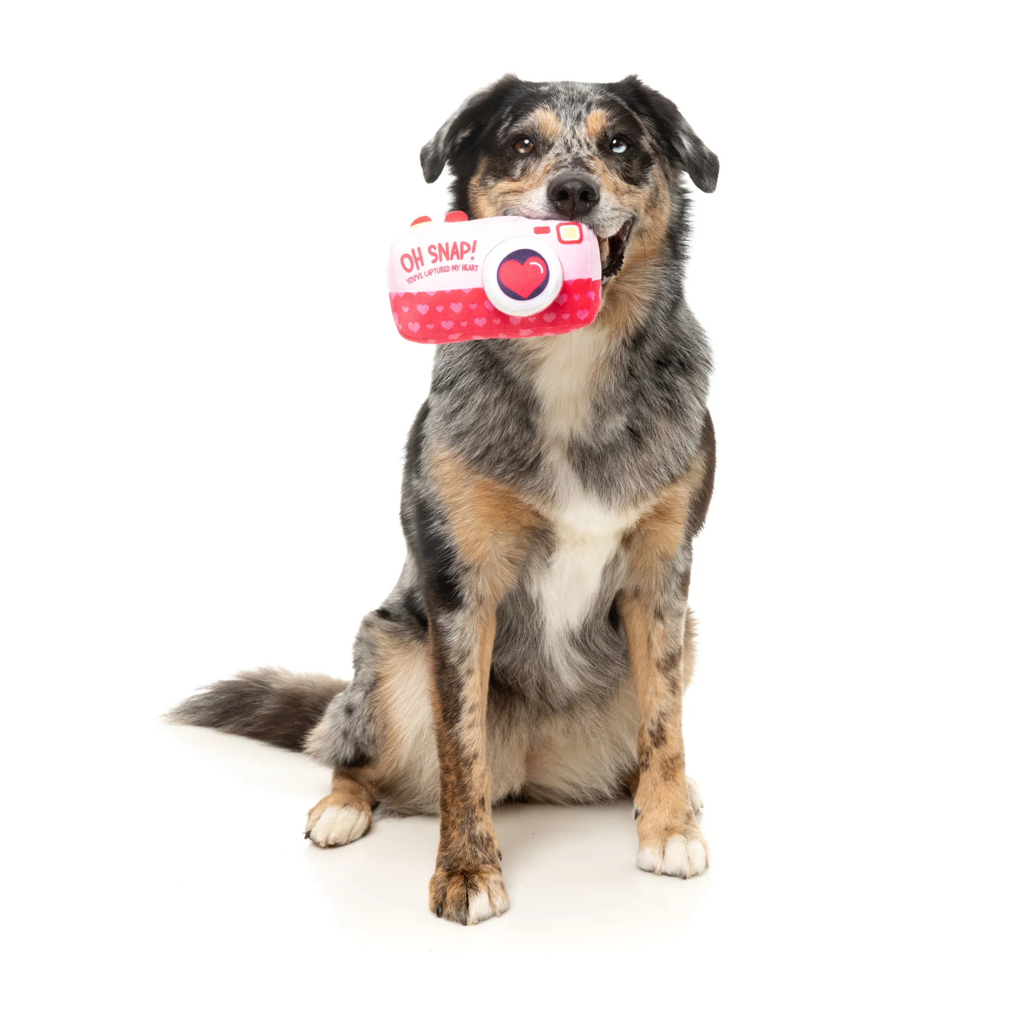 FuzzYard Oh Snap Camera Dog Toy