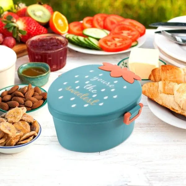 PLASTIC LUNCH BOX KLD 053