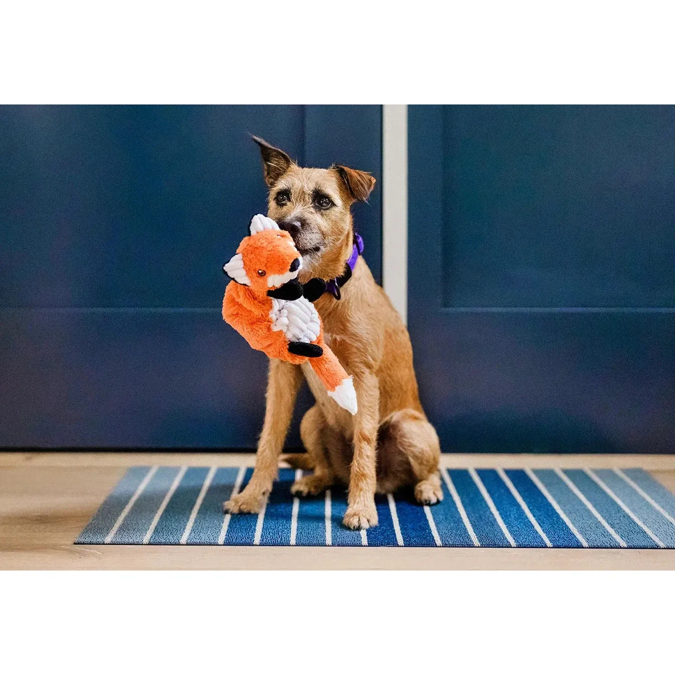 P.L.A.Y | Forest Friends - Forest the Fox - Plush Dog Toy