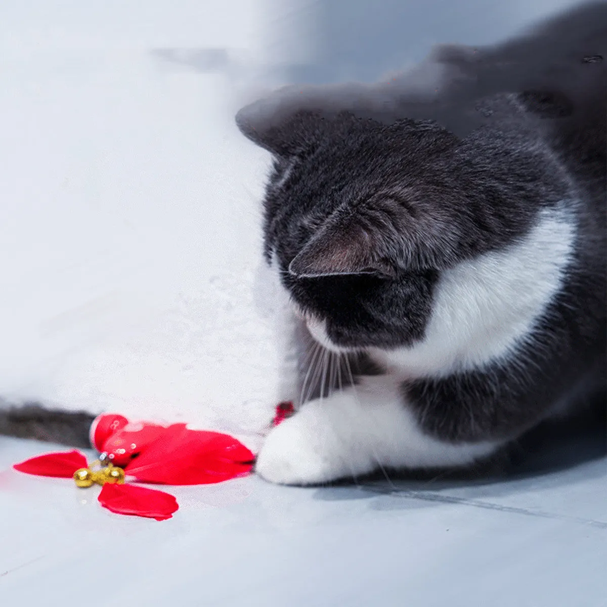 Smart Cat Playtime Set