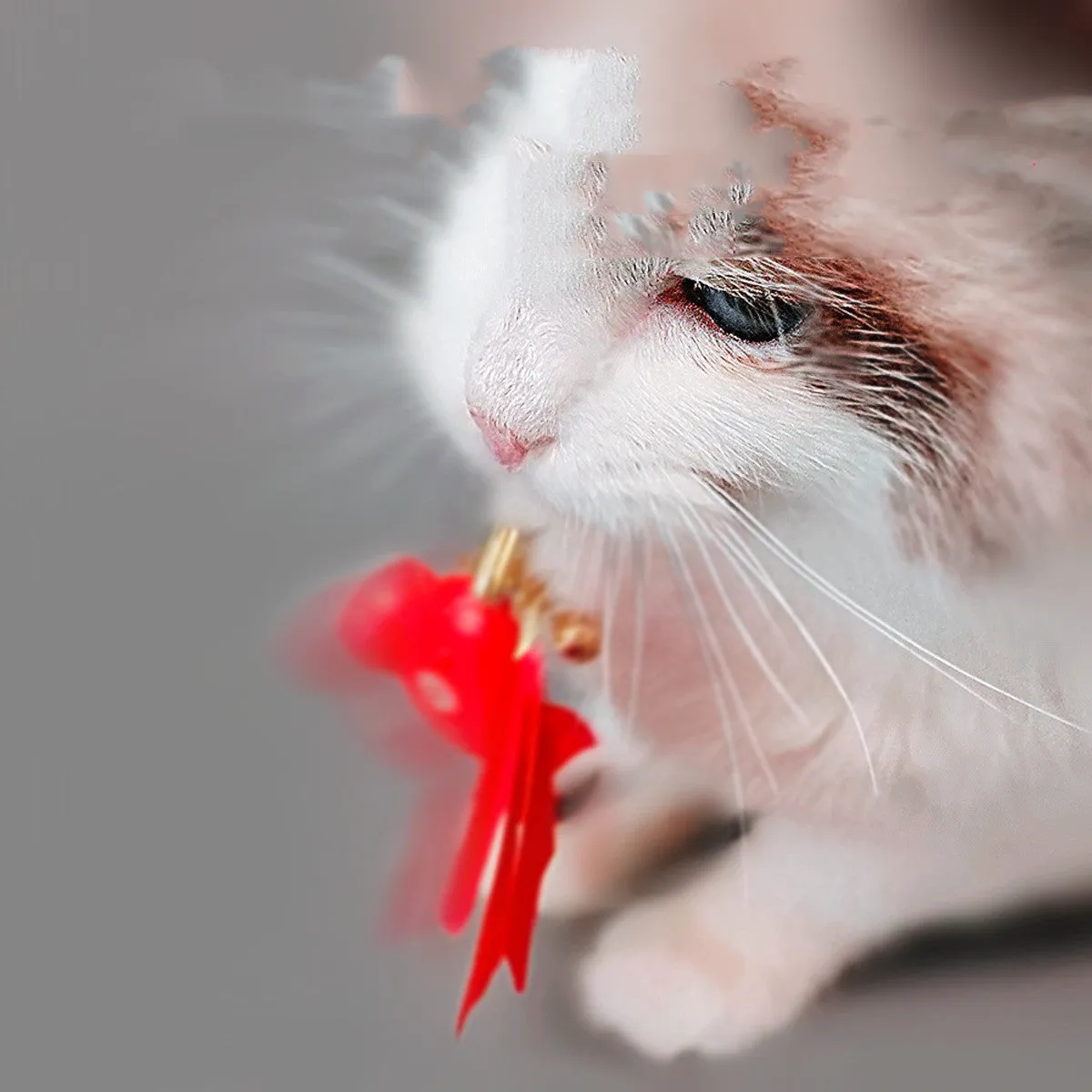 Smart Cat Playtime Set