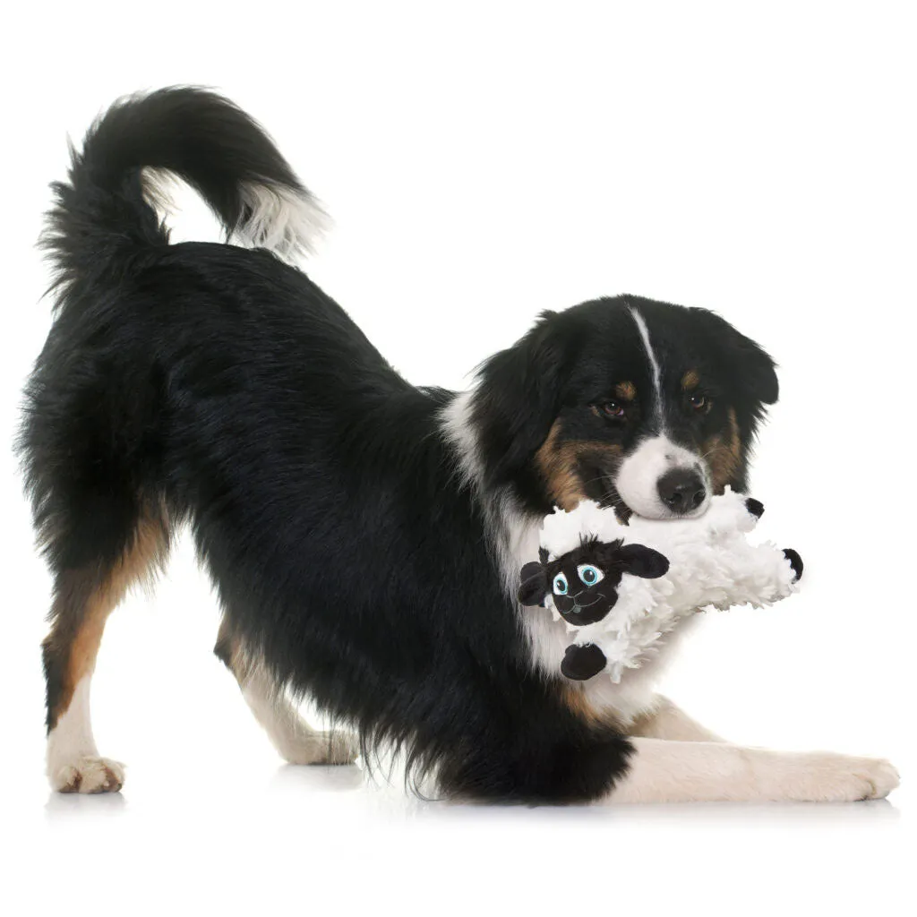 Spot BAA BAA Black Sheep Plush Dog Toy