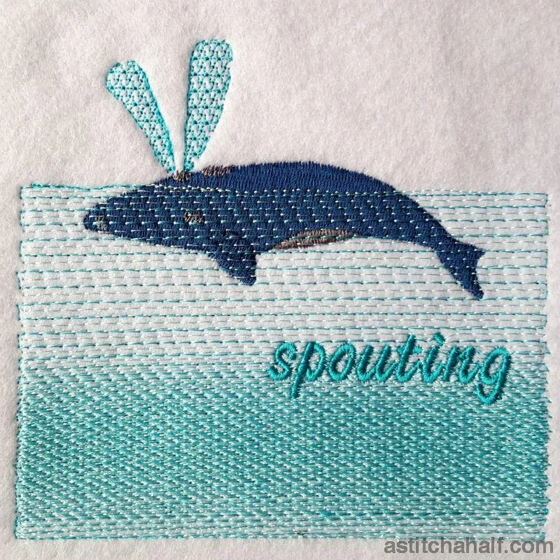 Whale Spouting
